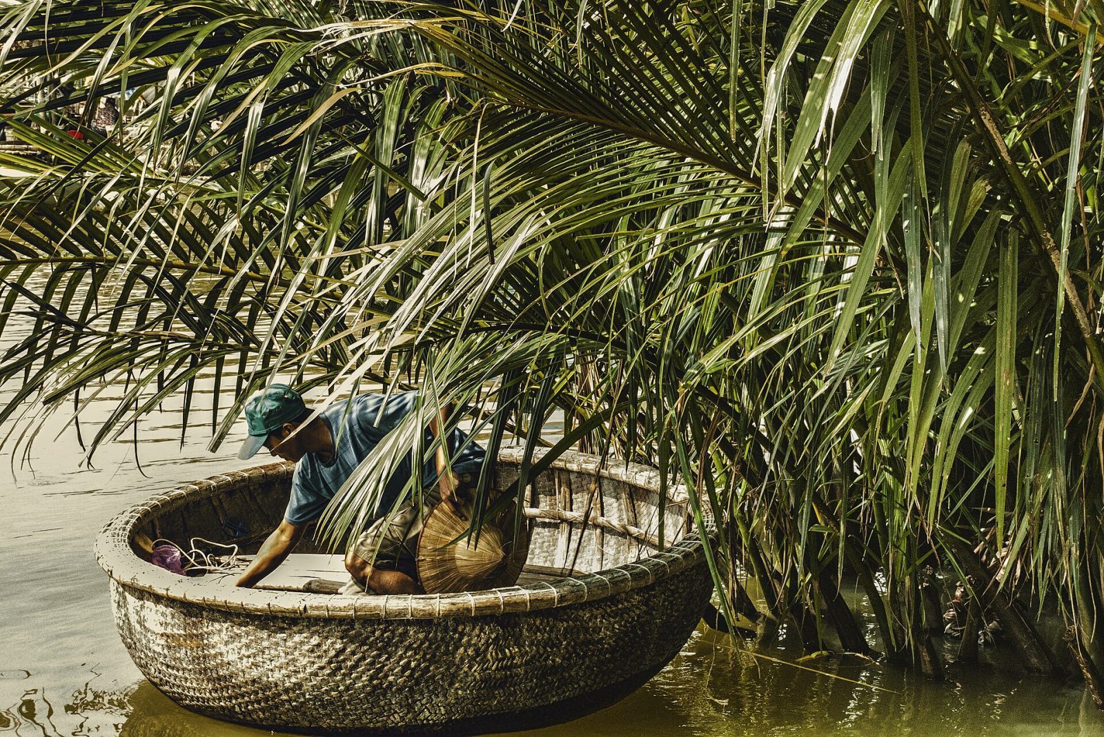 ĐÀ NẴNG TOUR DAILY RỪNG DỪA 7 MẪU