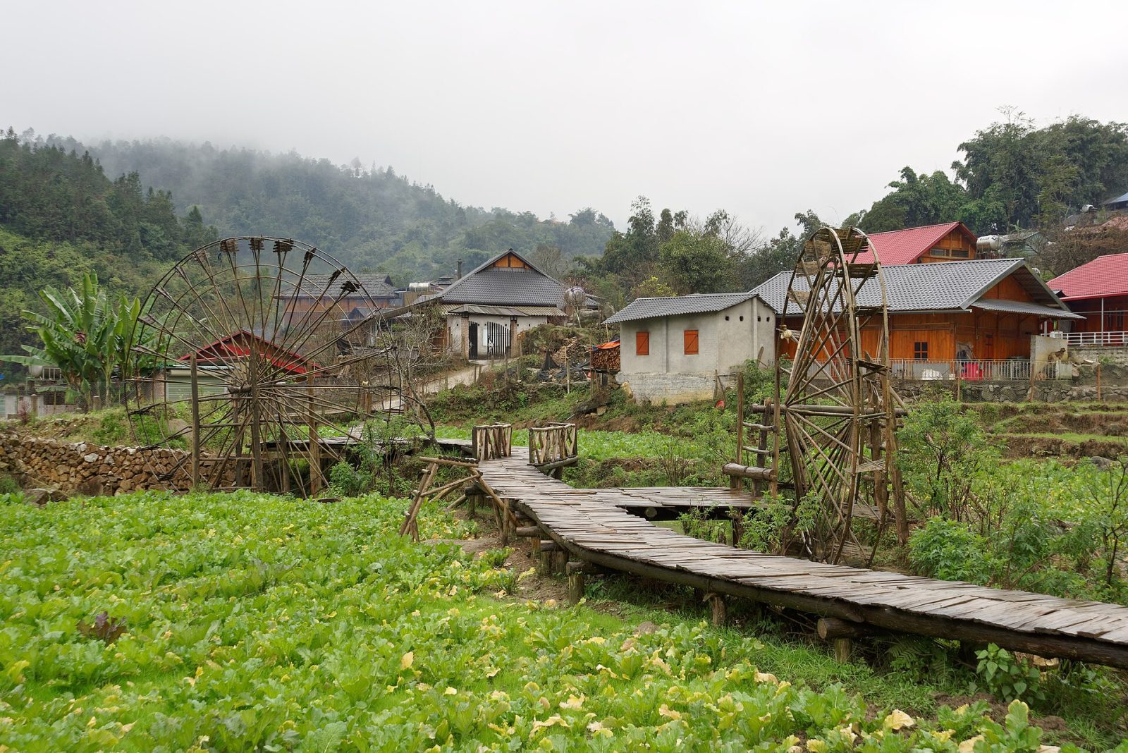 Bản Cát Cát & Thung Lũng Mường Hoa