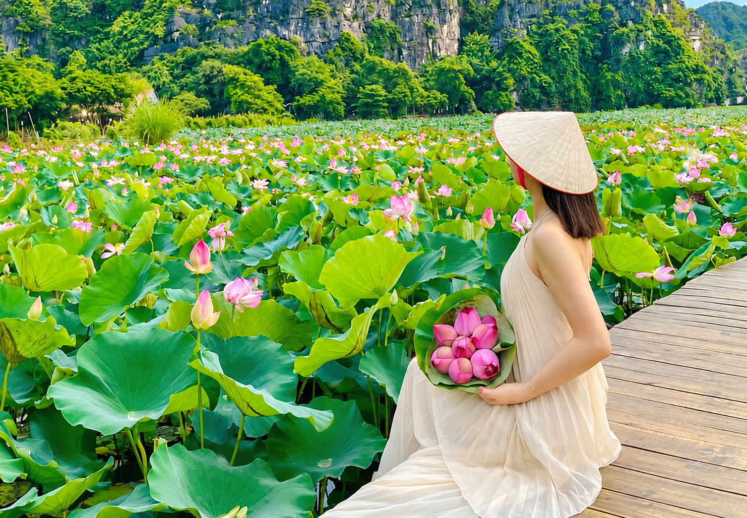 NINH BÌNH TOUR DAILY HOA LƯ - TAM CỐC - HANG MÚA