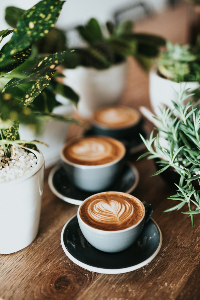 Trải Nghiệm Bản Địa Độc Bản