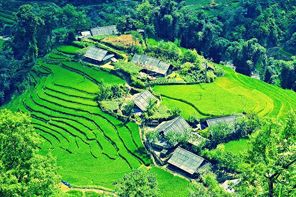 Sa Pa